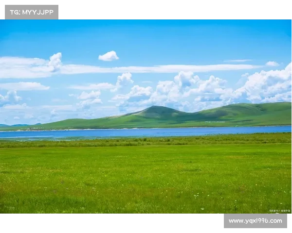 沙漠绿洲80级攻略:绿意盎然中的挑战与机遇 沙漠绿洲80级攻略:绿意盎然中的挑战与机遇